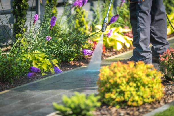 Best Parking Lot Cleaning in Redwater, TX